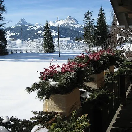 Nyati * Gstaad