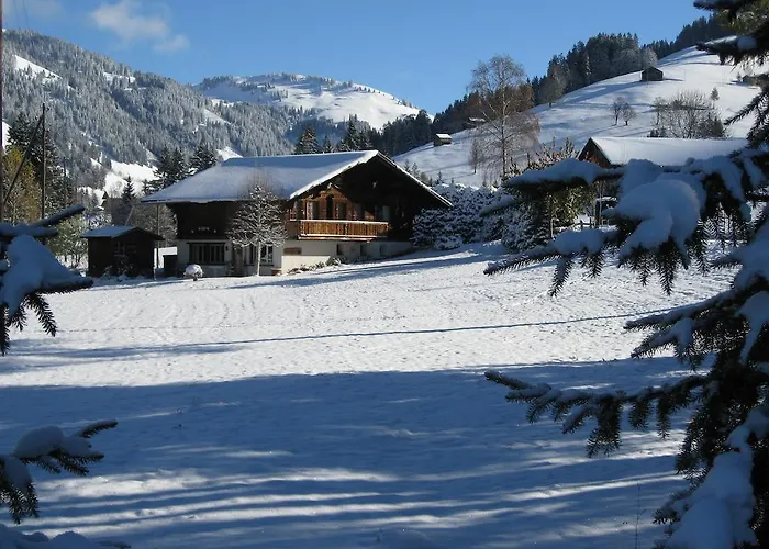 Nyati Gstaad