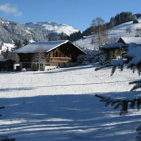 Nyati Gstaad